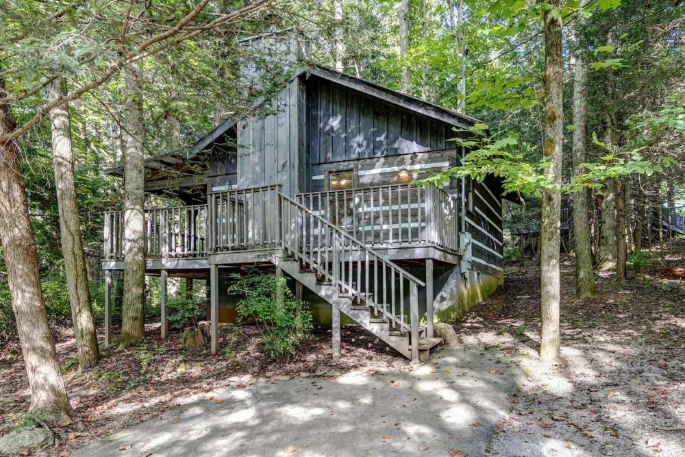Deluxe One-Bedroom Cabin - Pet Friendly  interior